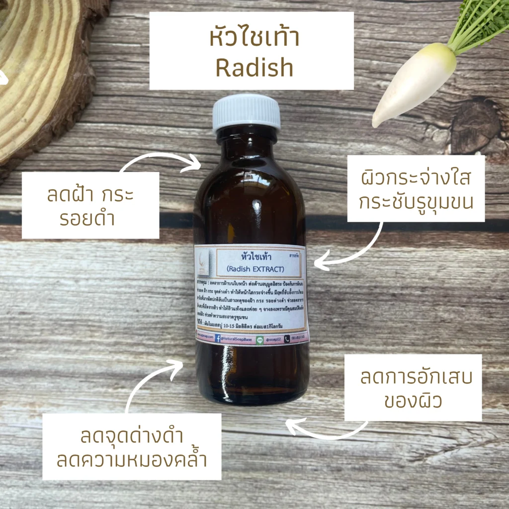 สารสกัด - สารสกัดหัวไชเท้า